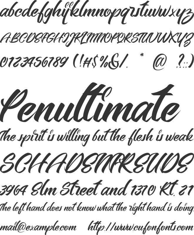 Bellerin font preview