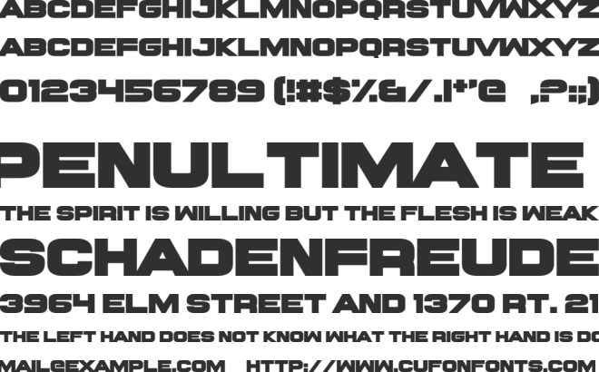 Rawhide Raw 2016 font preview