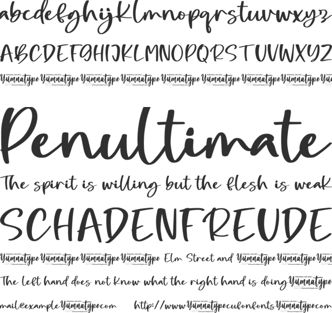 Night Candle Personal Use font preview