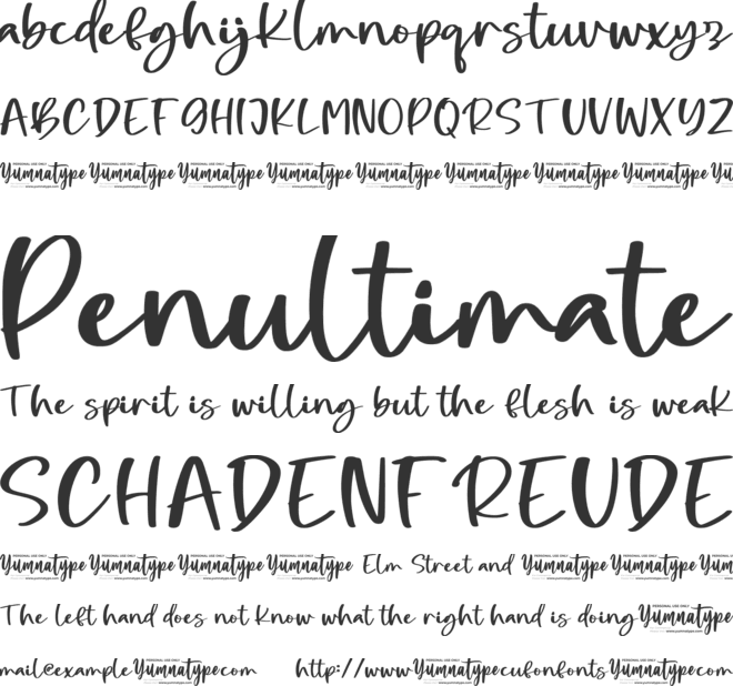 Night Candle Personal Use font preview