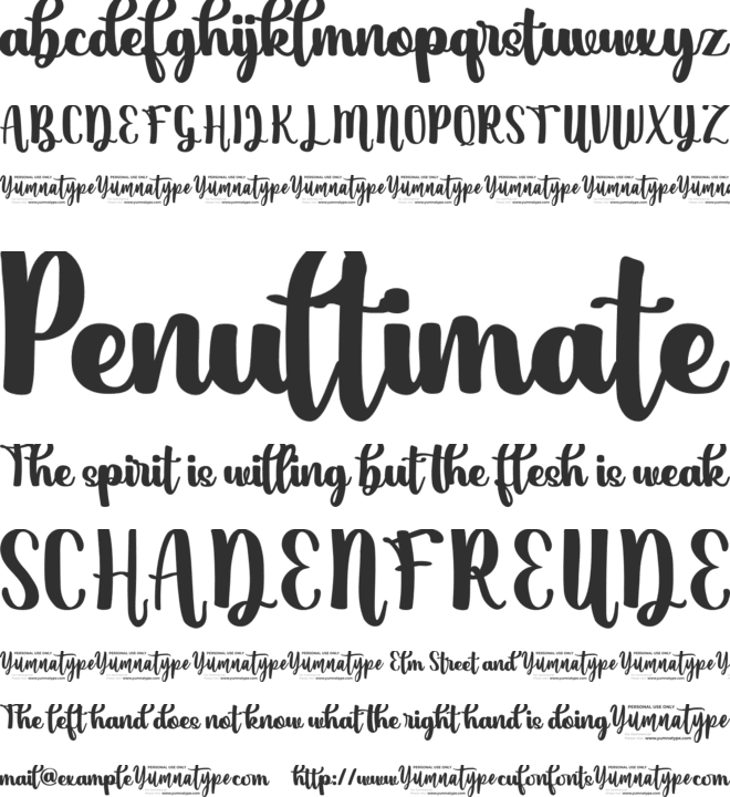 Melly Dream Personal Use font preview