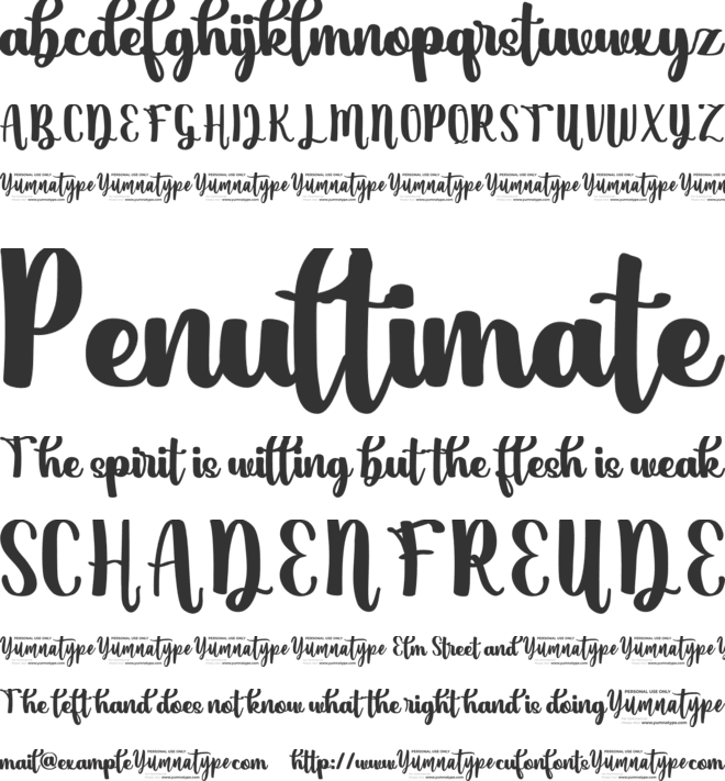 Melly Dream Personal Use font preview