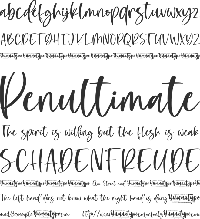 Eloisse Personal Use font preview