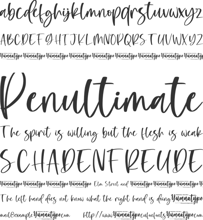 Eloisse Personal Use font preview