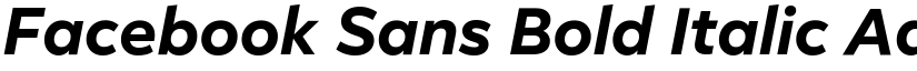 Facebook Sans Bold Italic font