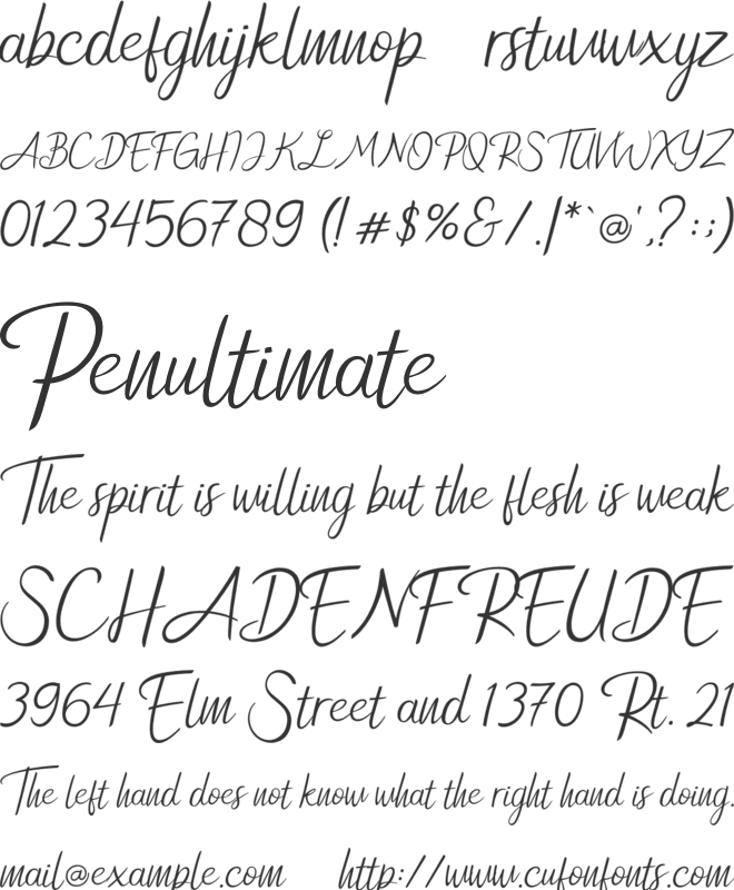 New Florence font preview