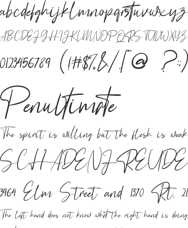 Astagina Signature font preview