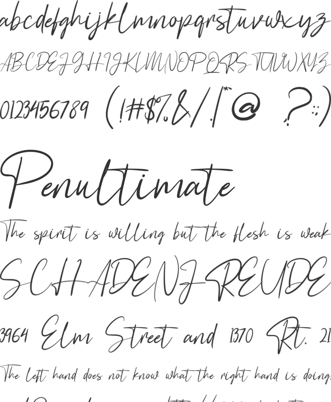 Astagina Signature font preview