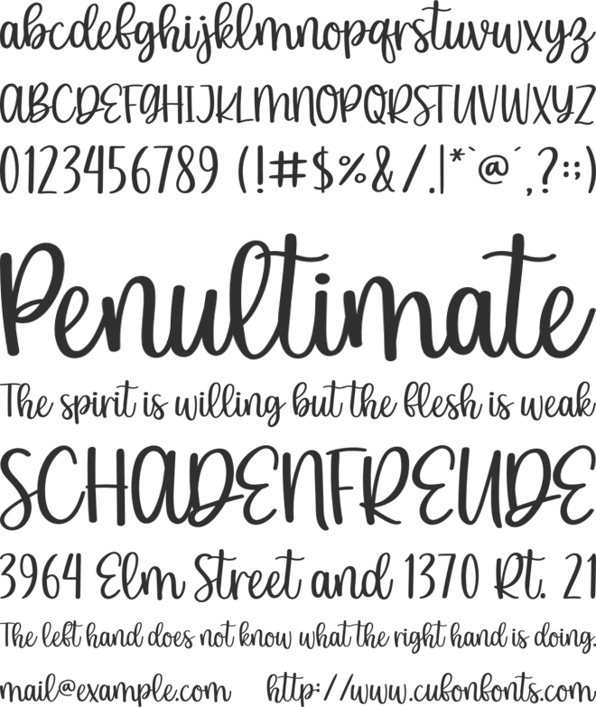 Wishingly font preview