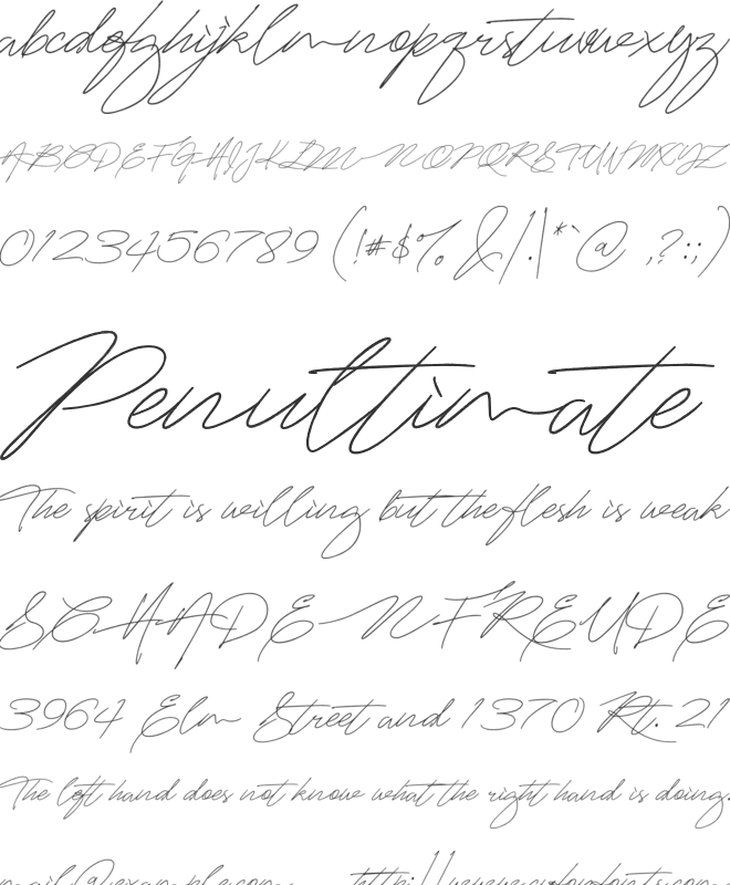 Mightam Brush font preview