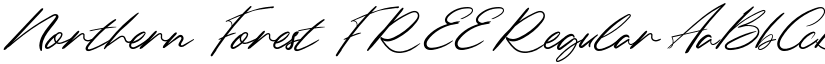Northern Forest FREE Regular font