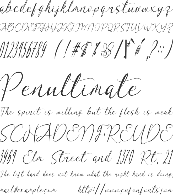 With Stalk font preview