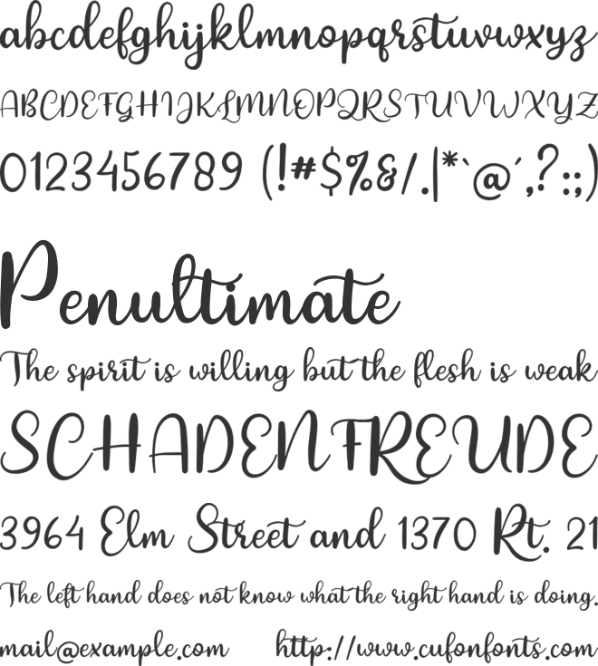red rose font preview