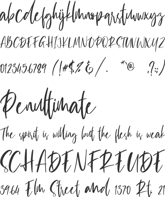 Catherina font preview