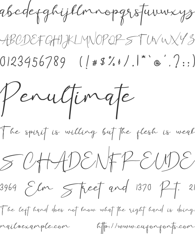 Rettica font preview