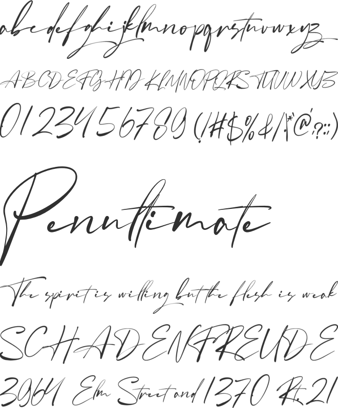 Angelinas font preview