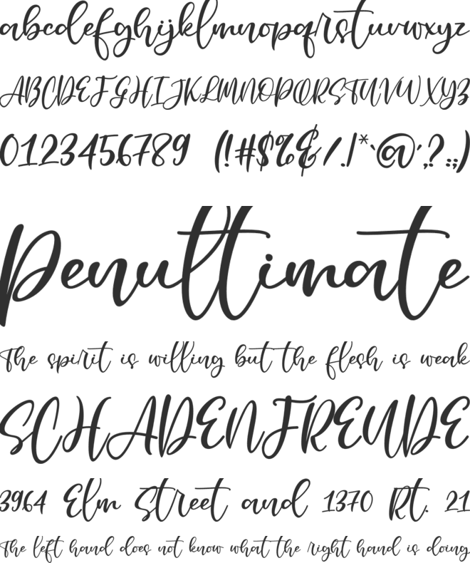 Jerlista Siny font preview