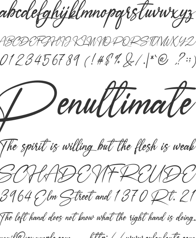 Ameyallinda Signatur font preview