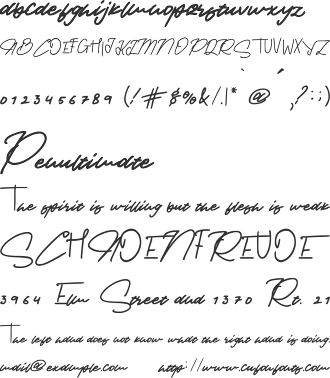 Provincia font preview