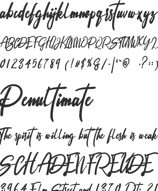 Signature font preview