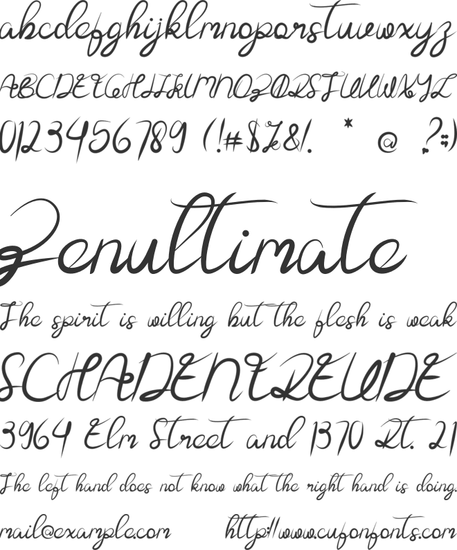 Bella font preview