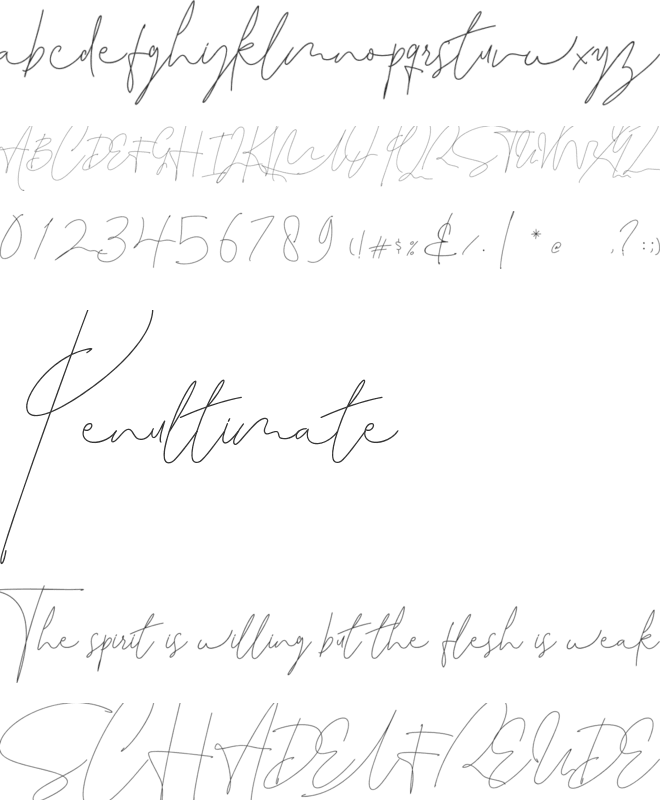 Leonetta font preview