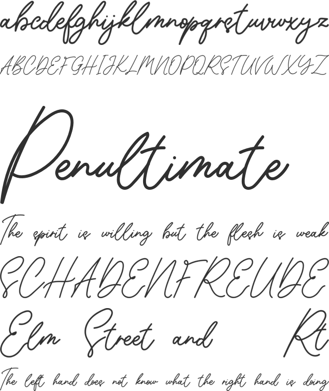 Sunflower FREE font preview