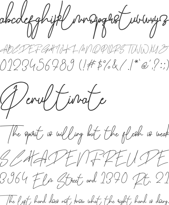 Beligh pen font preview