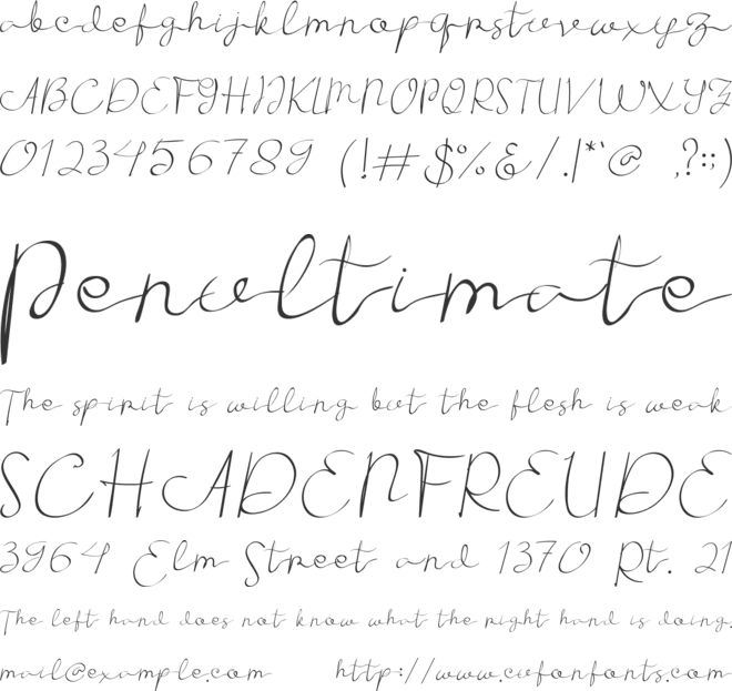 Braze font preview