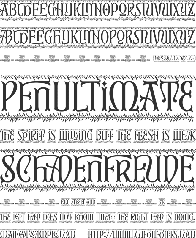 Christmas Reign Deco PERSONAL font preview