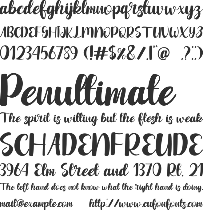 Winter Yesterday font preview