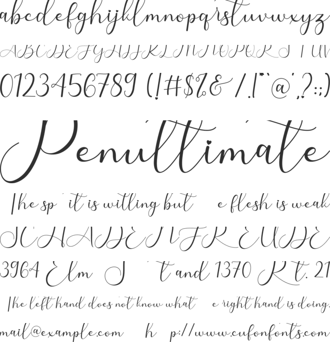 Sarilla Script font preview