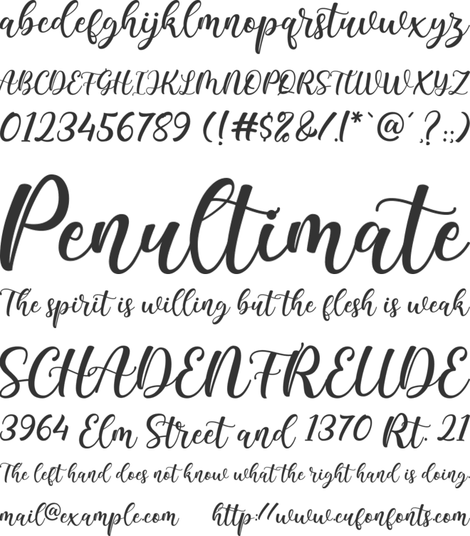 Bealy Beyla font preview