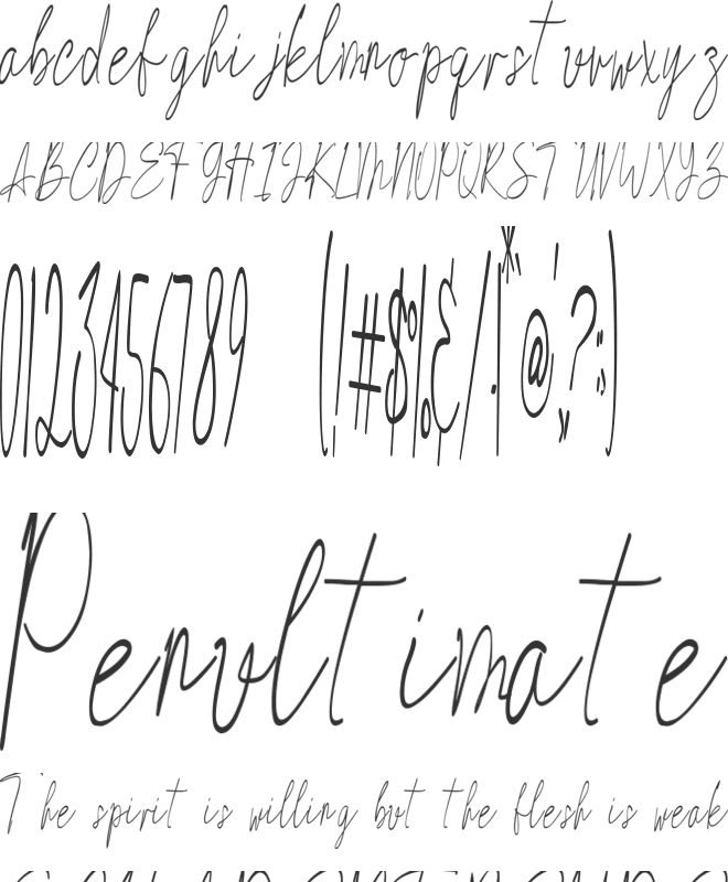 Shailene Woodley font preview