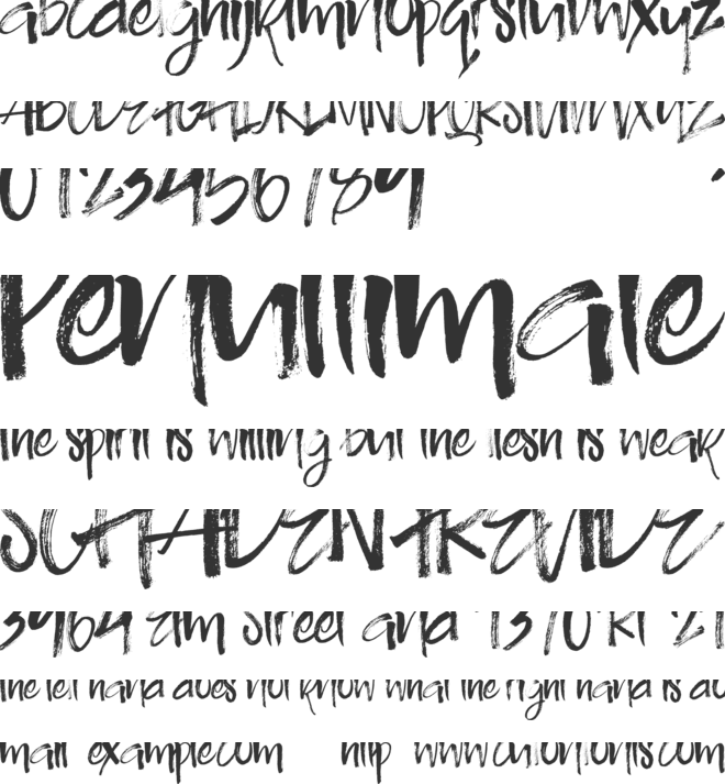 DO Brush font preview