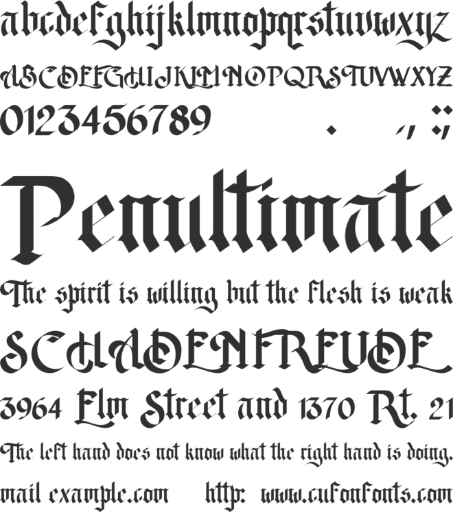 DO David Gothic font preview