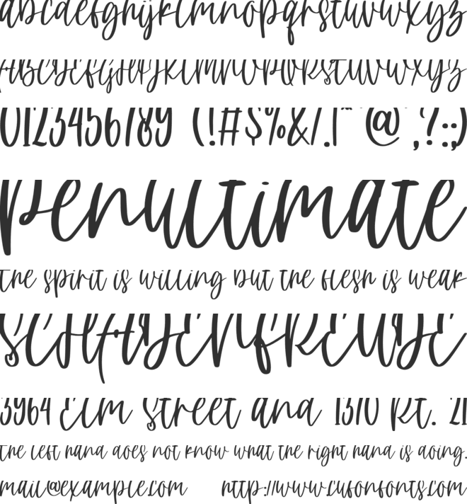 pink blossom font preview