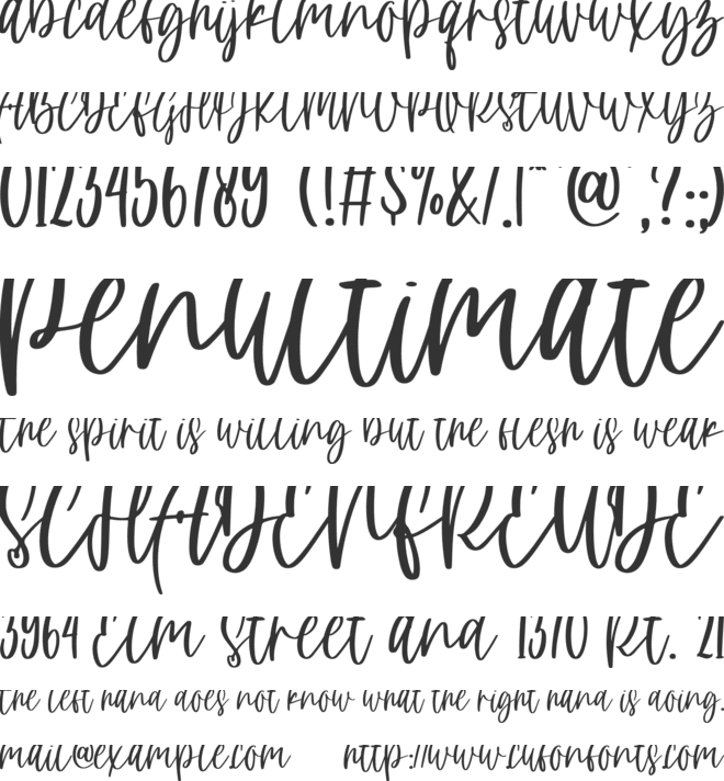 pink blossom font preview