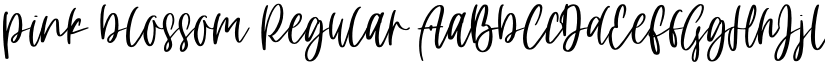 pink blossom Regular font