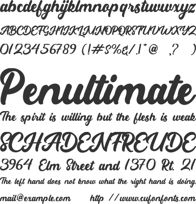 Partner font preview