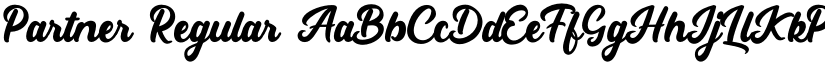 Partner Regular font