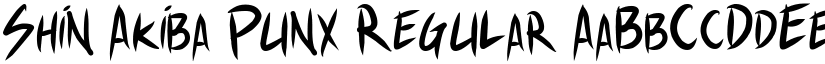 Shin Akiba Punx Regular font