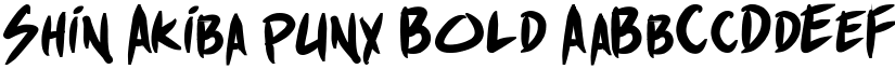 Shin Akiba punx Bold font