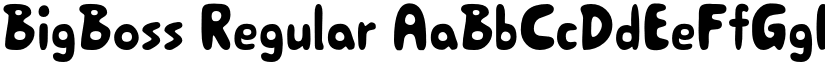 BigBoss Regular font