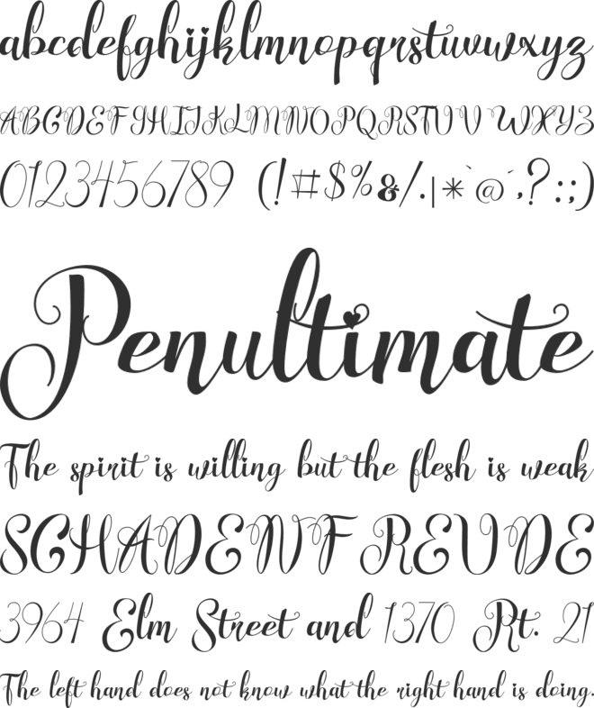 Wonderfebia Free Personal Use font preview