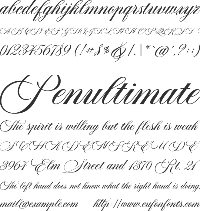Aston Script Pro font preview