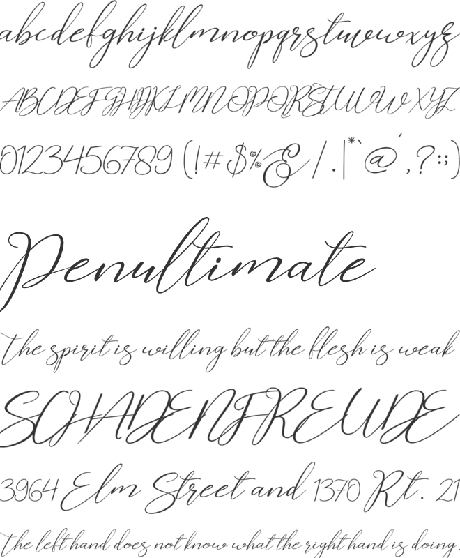 Cherella font preview