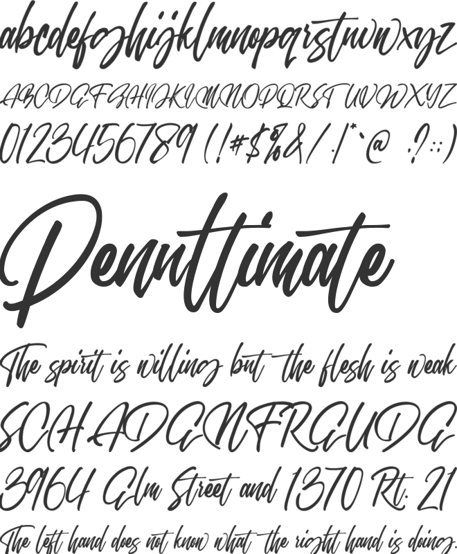 Honey Carrot font preview
