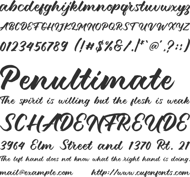 Debutan Brush Script font preview
