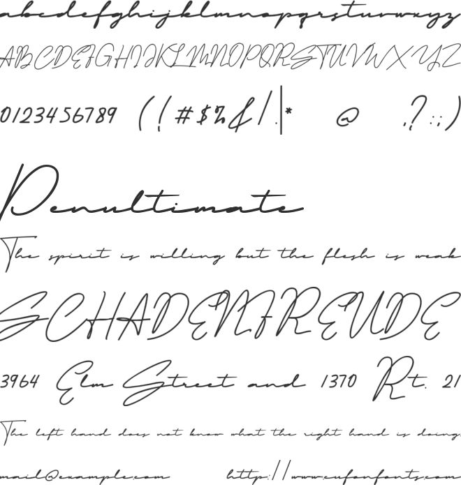 Cristhyna Signature Free font preview